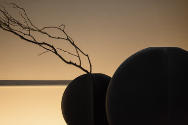 foliage inside a room at kodo hotel in the arts district