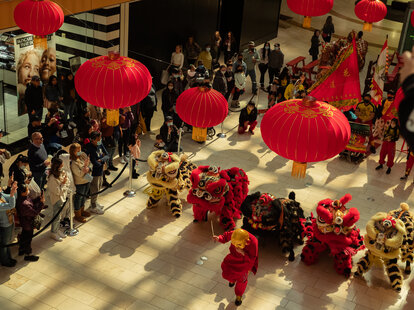 lion dance at galleria dallas