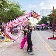 Fierce Whiskers dragon dance