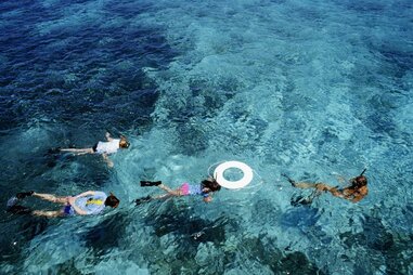 a group of people scuba diving in the water of st. croix
