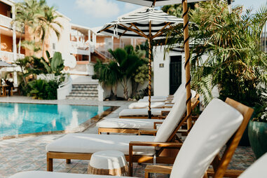 beach chairs overlooking a pool with palm trees in the background