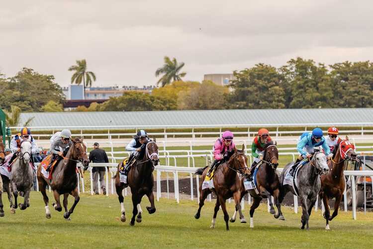 Gulfstream Park Racing and Casino