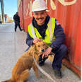 Dog Rescued From Shipping Container Has Been Hiding A Sweet Surprise