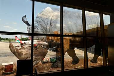 airplanes on the tarmac as seen through an airport window with a rhino decal on it