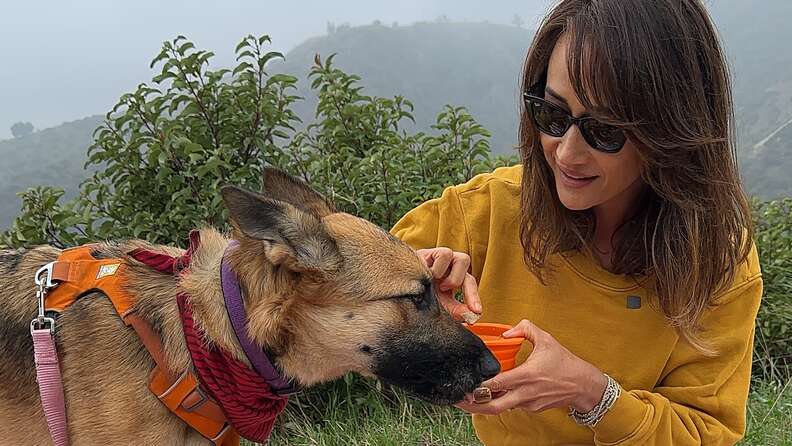 Maggie Q goes on a date with a homeless dog
