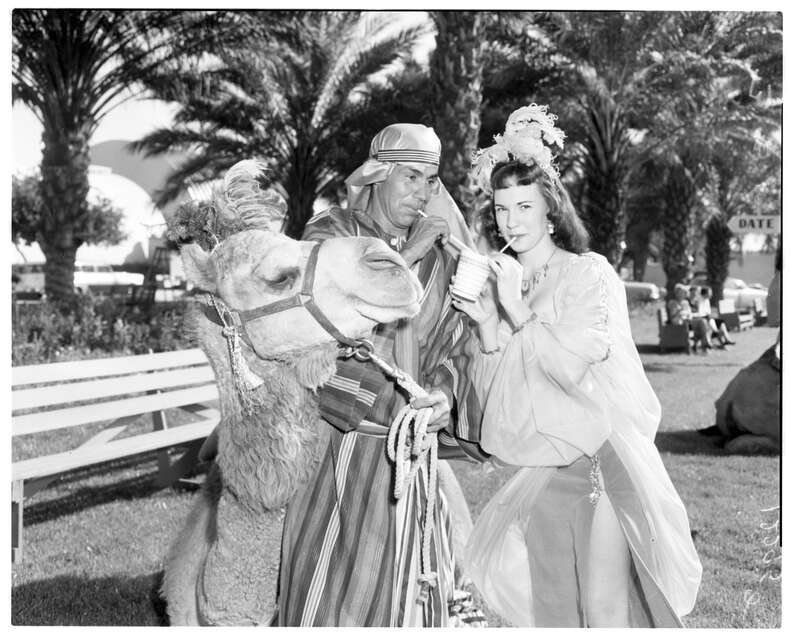 two people in dated costume clothing sipping a date shake while a camel looks on