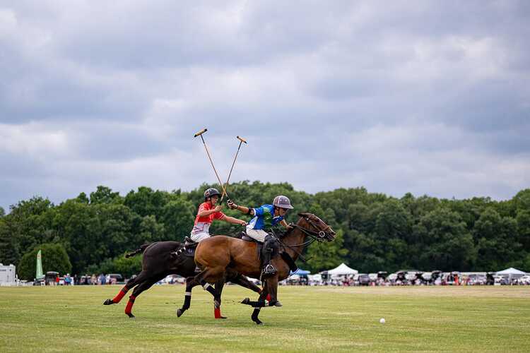 Oak brook polo