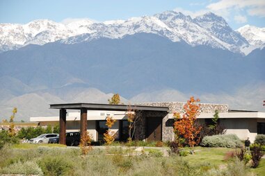 vines of mendoza luxury vineyard