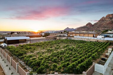 vineyard, mountains, parking lot, hildale