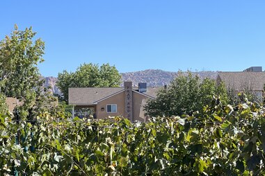 chimney, vineyards, FLDS church, hildale, utah