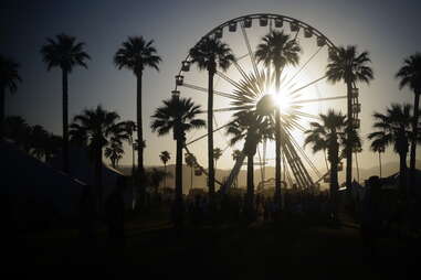the giant ferris wheel and palm trees at coachella music festival