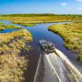 Wooten's Everglades Airboat Tours