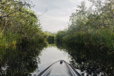 Kayak Turner River