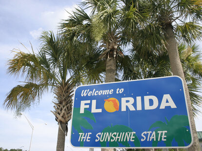 Tropical Scene welcoming you to the state of Florida