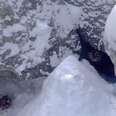 Beachgoers Notice A Tiny Face Hiding Under The Snow-Covered Rocks