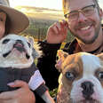 Couple Brings Their Two Rescue Dogs Camping In A Vineyard For A Night