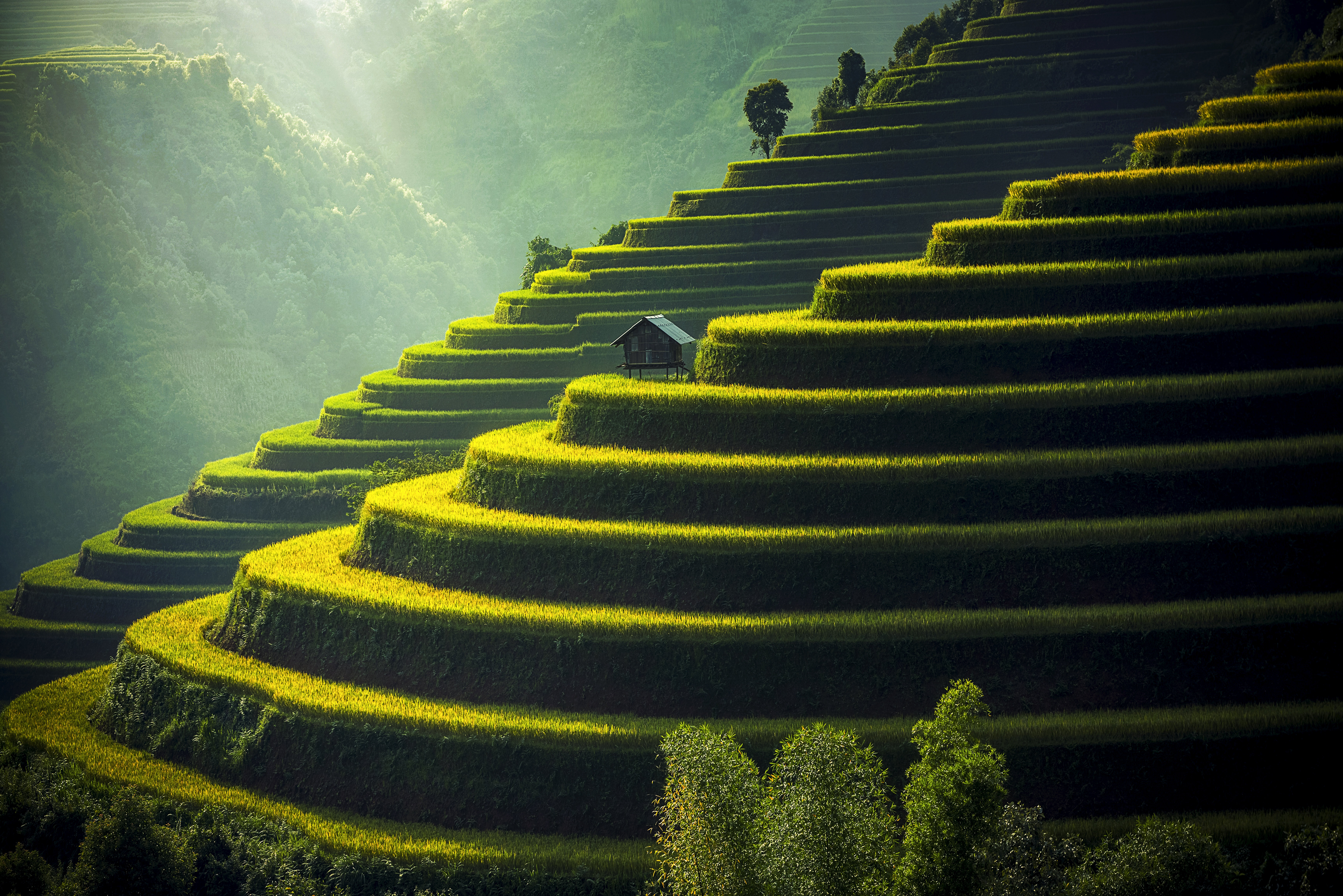 Tourists Overran Vietnam’s Famous Love Markets—So Locals Hid Them