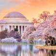 Jefferson Memorial during the Cherry Blossom Festival in Washington, DC, United States