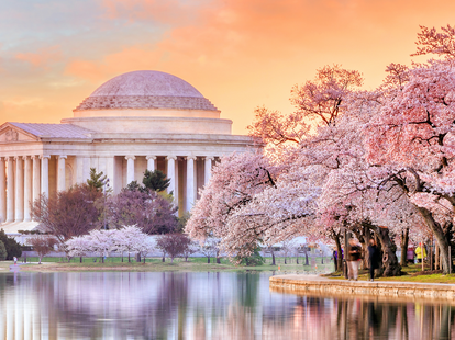 Jefferson Memorial during the Cherry Blossom Festival in Washington, DC, United States