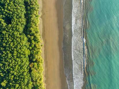 Top-down, aerial view, waves, beach and rainforest, Marino Ballena National Park, Osa National Park, dream beach and sea of the South Pacific, Puntarenas Province, Osa, Costa Rica, Central America