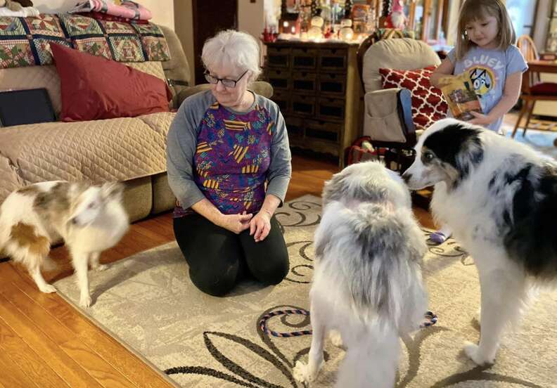 woman with dogs