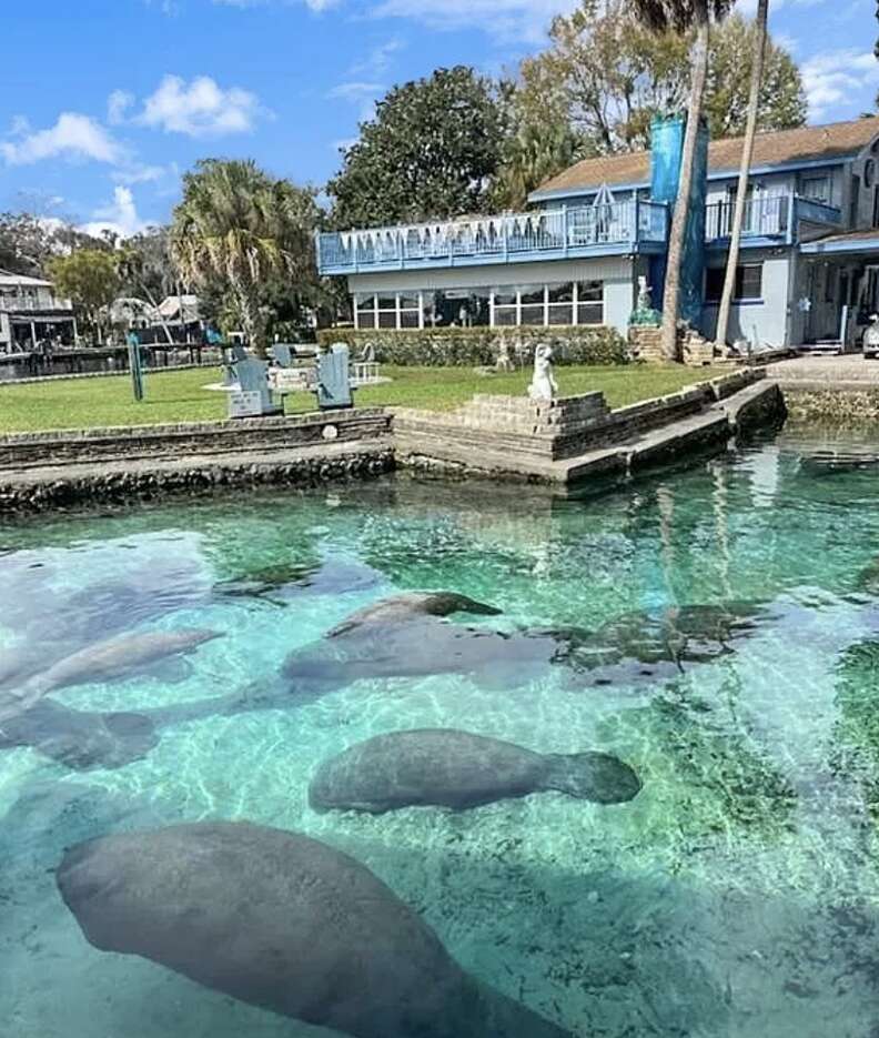 manatee house