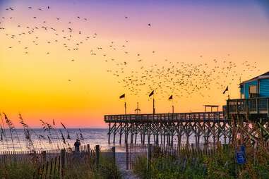 Sunrise on Myrtle Beach with birds