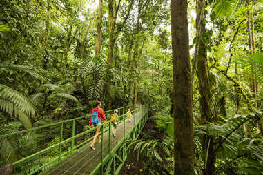 costa rica jungle outdoor activities natural beauty