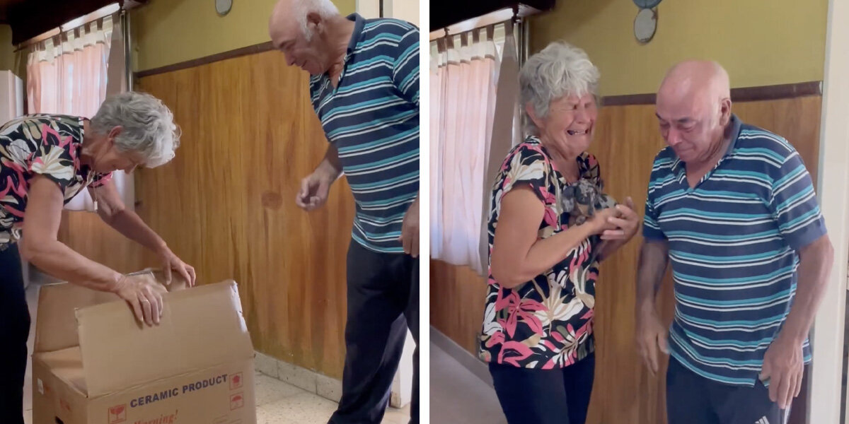 Grandparents Burst Into Tears After Opening Box With The Sweetest ...