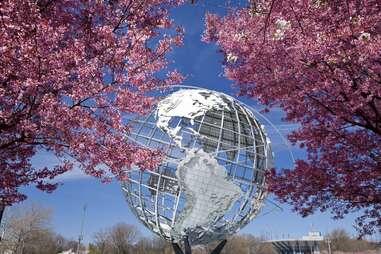 Cherry blossoms in Flushing Meadows Corona Park