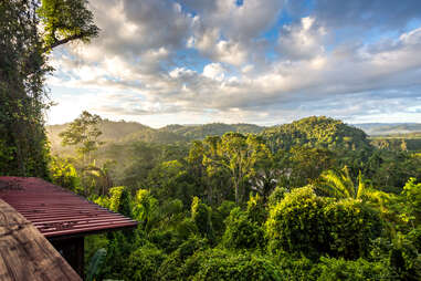 belize rainforest adventure travel dream destination