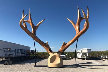Big Antlers, Casey, Illinois