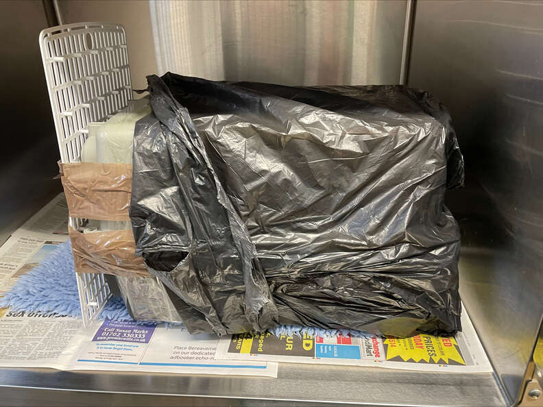 Taped-Up Pet Carrier Tossed Over Fence Held Someone Adorable Inside