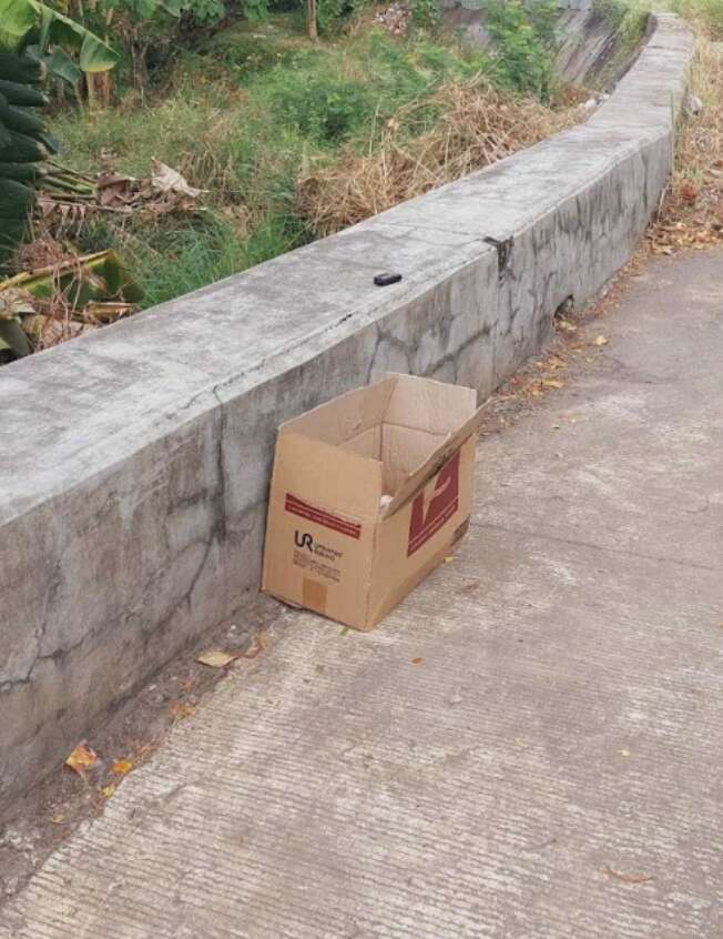 box by a bridge 