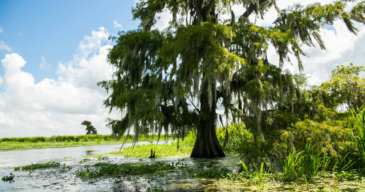 Most Beautiful Places in Louisiana: Parks, Trails & More to Visit