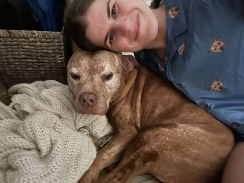 Dog Walker Leaves One Final Note After Taking Senior Pittie On Her Last Walk