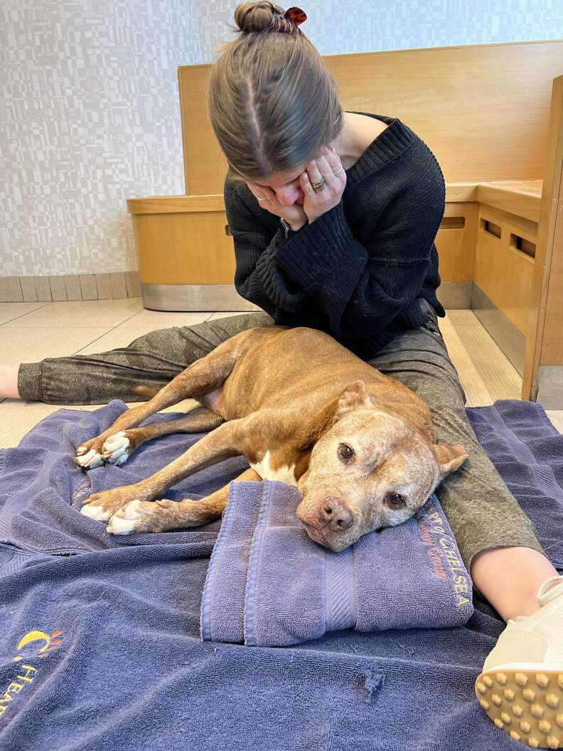 Dog Walker Leaves One Final Note After Taking Senior Pittie On Her Last Walk
