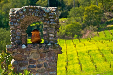 mustard flowers on a winery behind antique bell in sonoma county california