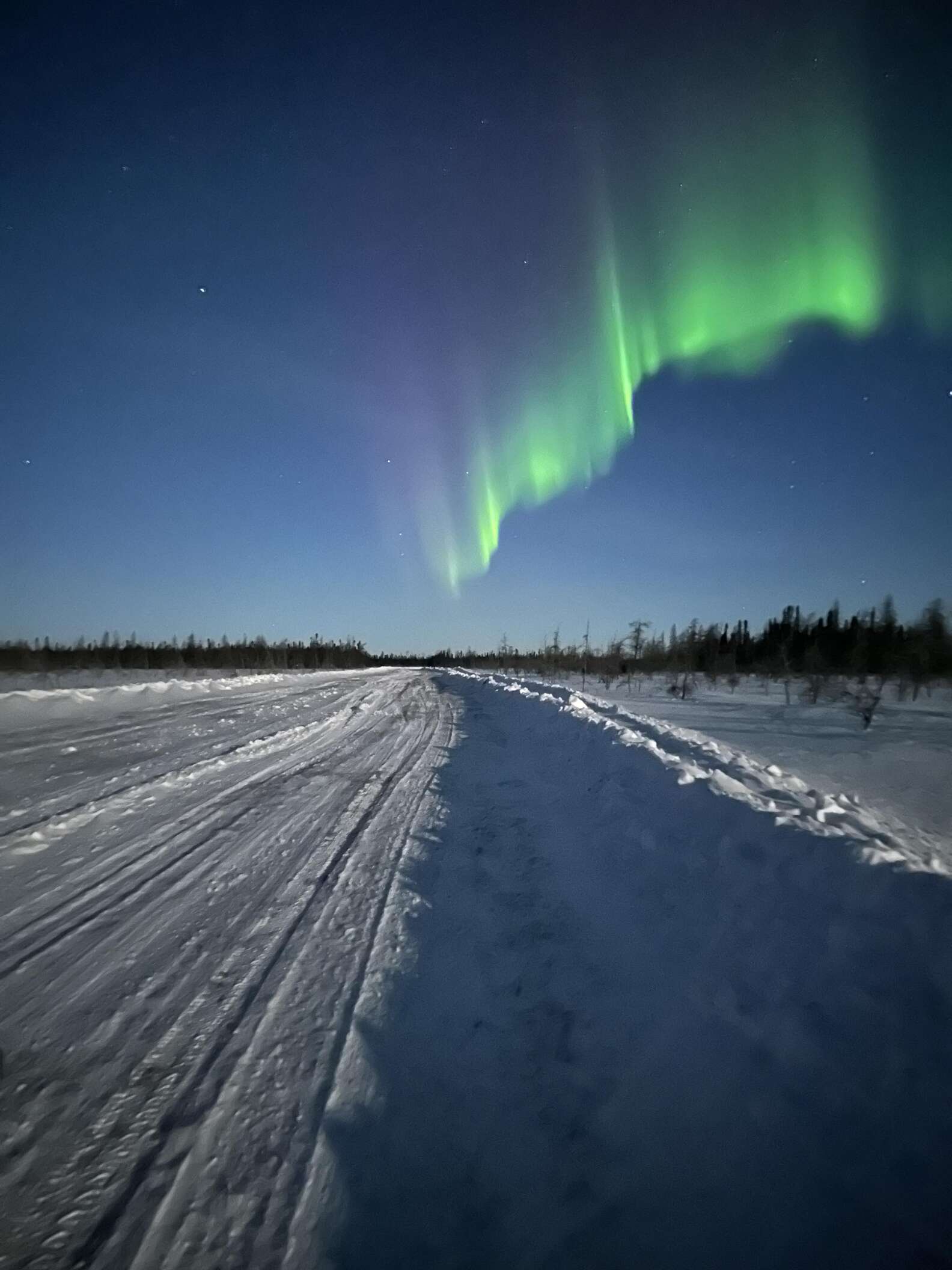 Driver On Icy Road Gushes After Spotting A Little Family In The Path ...