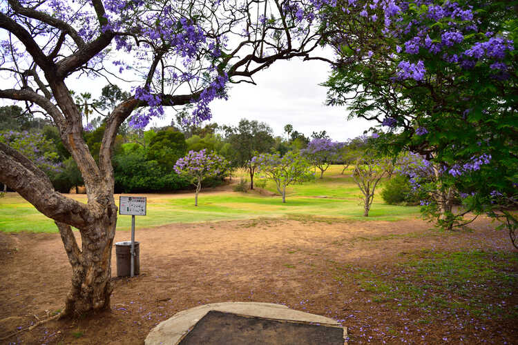 Morley Field Disc Golf Course