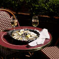 Oysters and white wine on the patio at coucou in west hollywood, los angeles
