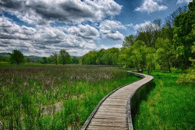 Appalachian Trail in New Jersey