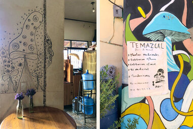 san jose del pacifico magic mushroom murals on store walls