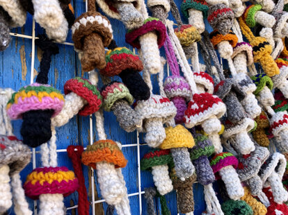 crocheted fungi ornaments souvenirs san josé del pacifico mexico mushroom town
