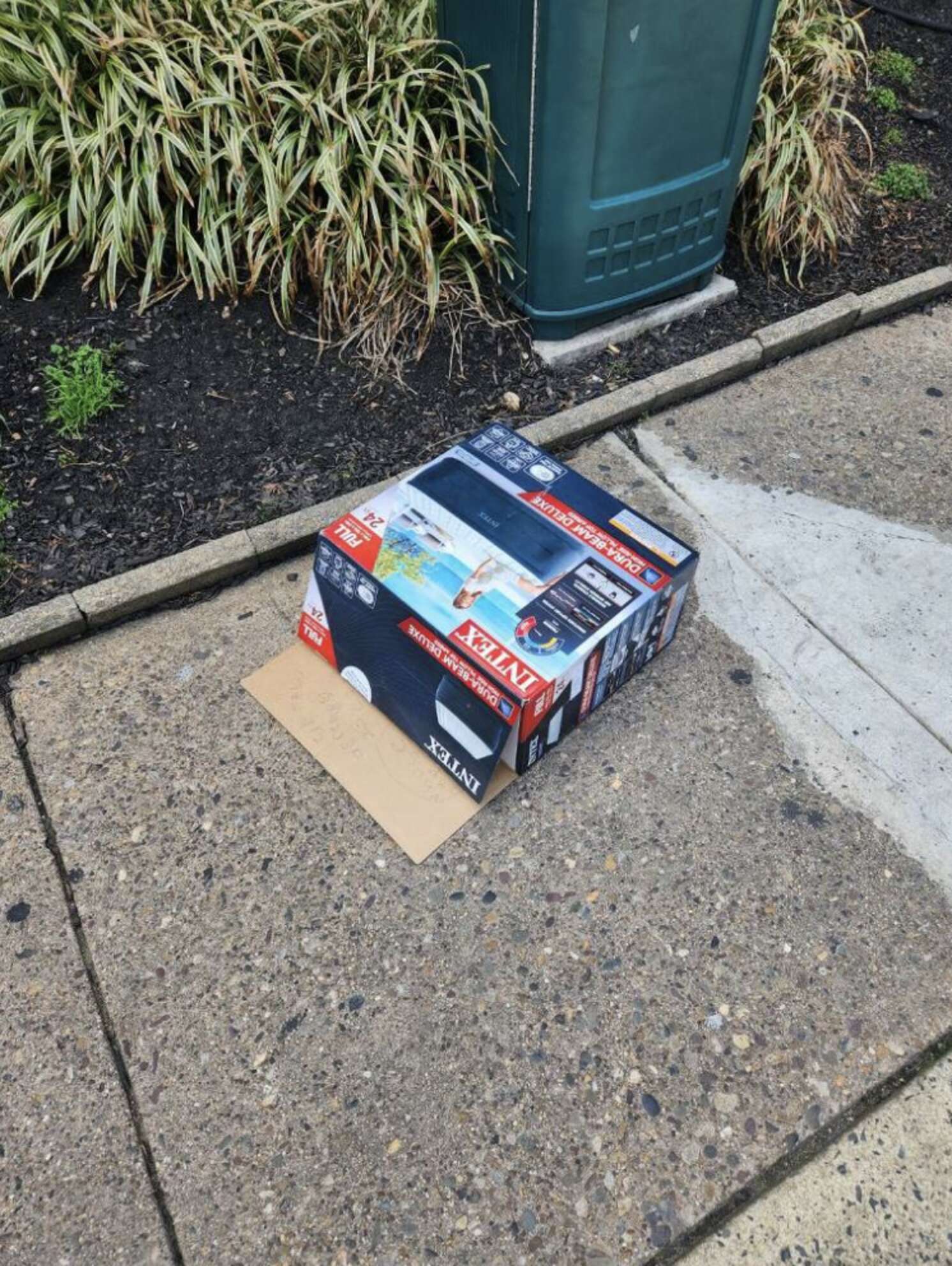 1-Day-Old Fluffy Baby Cries Out From Cardboard Box, Waiting For Someone ...