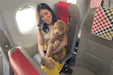 Nicole Caba and her mini-poodle Coco, on a plane.
