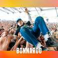 The Ultimate Guide to Bonnaroo Festival This Year—With a Few Notes