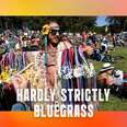 Everything You Need to Know for Hardly Strictly Bluegrass—And a Bit More 