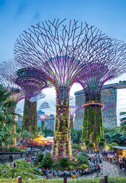 Best Things to Do in Singapore While Visiting - Thrillist