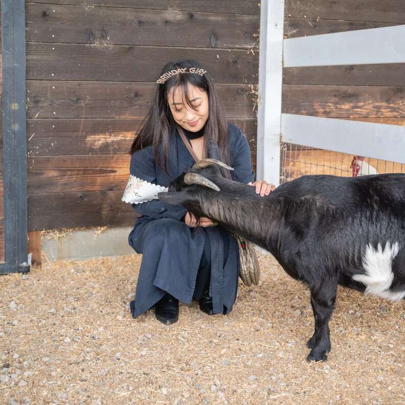 a woman with a birthday crown and a goat at charlie's acres animal sanctuary 